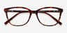 Arte Tortoise AcetateEyeglass Frames from EyeBuyDirect, Closed View