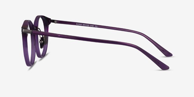 Buho Purple AcetateEyeglass Frames from EyeBuyDirect, Side View