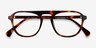 Ida Tortoise AcetateEyeglass Frames from EyeBuyDirect, Closed View