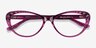 Persona Cassis AcetateEyeglass Frames from EyeBuyDirect, Closed View