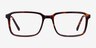 Rafferty Tortoise AcetateEyeglass Frames from EyeBuyDirect, Front View