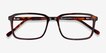 Rafferty Tortoise AcetateEyeglass Frames from EyeBuyDirect, Closed View