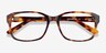 Tobias Tortoise AcetateEyeglass Frames from EyeBuyDirect, Closed View