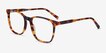 Finn Tortoise AcetateEyeglass Frames from EyeBuyDirect, Angle View