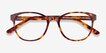 Gable Tortoise AcetateEyeglass Frames from EyeBuyDirect, Closed View