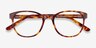 Gable Tortoise AcetateEyeglass Frames from EyeBuyDirect, Closed View