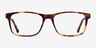 Pochi Tortoise AcetateEyeglass Frames from EyeBuyDirect, Front View