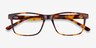 Pochi Tortoise AcetateEyeglass Frames from EyeBuyDirect, Closed View