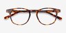 Alastor Tortoise AcetateEyeglass Frames from EyeBuyDirect, Closed View