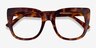 Unique Tortoise AcetateEyeglass Frames from EyeBuyDirect, Closed View