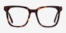 Kenneth Tortoise AcetateEyeglass Frames from EyeBuyDirect, Front View