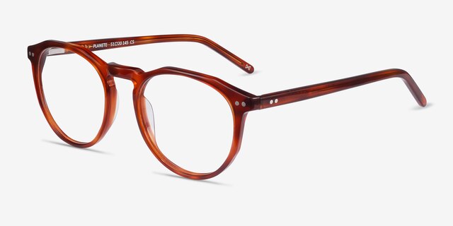 Planete Tortoise AcetateEyeglass Frames from EyeBuyDirect, Angle View