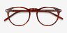 Planete Tortoise AcetateEyeglass Frames from EyeBuyDirect, Closed View
