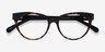 Paula Tortoise AcetateEyeglass Frames from EyeBuyDirect, Closed View
