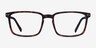 Moringa Warm Tortoise PlasticEyeglass Frames from EyeBuyDirect, Front View