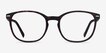 Aloe Warm Tortoise PlasticEyeglass Frames from EyeBuyDirect, Front View