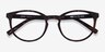 Citrus Warm Tortoise Eco-friendlyEyeglass Frames from EyeBuyDirect, Closed View