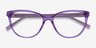 Sing Clear Purple AcetateEyeglass Frames from EyeBuyDirect, Closed View