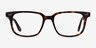 Pacific Tortoise AcetateEyeglass Frames from EyeBuyDirect, Front View