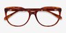 Brilliance Tortoise AcetateEyeglass Frames from EyeBuyDirect, Closed View