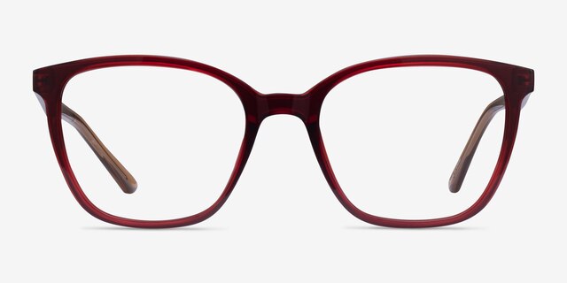 Identical Clear Red & Clear Brown PlasticEyeglass Frames from EyeBuyDirect, Front View