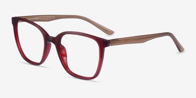 Identical Clear Red & Clear Brown PlasticEyeglass Frames from EyeBuyDirect, Angle View
