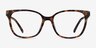 Miracle Tortoise  Gold AcetateEyeglass Frames from EyeBuyDirect, Front View
