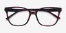 Miracle Red Tortoise  Black AcetateEyeglass Frames from EyeBuyDirect, Closed View