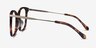 Celestial Tortoise  Gold AcétateMontures de lunettes de vue d'EyeBuyDirect, Vue de Côté