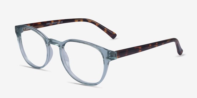 Cool Clear Blue Tortoise PlasticEyeglass Frames from EyeBuyDirect, Angle View