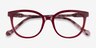 Popcorn Red Floral AcetateEyeglass Frames from EyeBuyDirect, Closed View