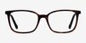 Travel Tortoise Black AcetateEyeglass Frames from EyeBuyDirect, Front View