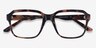 Neat Tortoise AcetateEyeglass Frames from EyeBuyDirect, Closed View