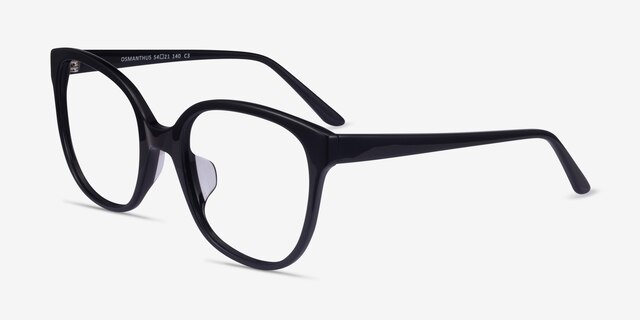 Osmanthus Black AcetateEyeglass Frames from EyeBuyDirect, Angle View