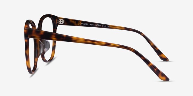 Osmanthus Tortoise AcetateEyeglass Frames from EyeBuyDirect, Side View