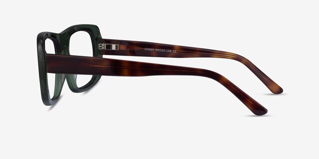 Sonny Clear Green Tortoise AcetateEyeglass Frames from EyeBuyDirect, Side View