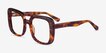 Calista Tortoise AcetateEyeglass Frames from EyeBuyDirect, Angle View