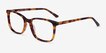 Meridian Tortoise AcetateEyeglass Frames from EyeBuyDirect, Angle View