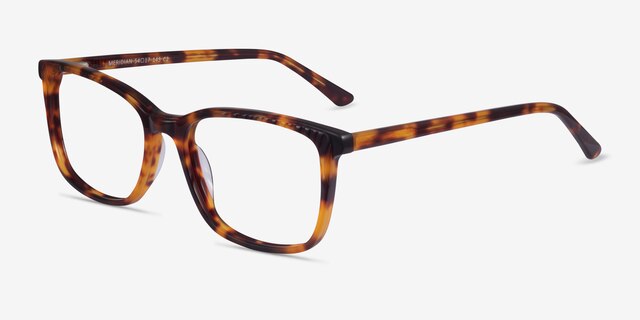 Meridian Tortoise AcetateEyeglass Frames from EyeBuyDirect, Angle View