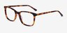 Meridian Tortoise AcetateEyeglass Frames from EyeBuyDirect, Angle View