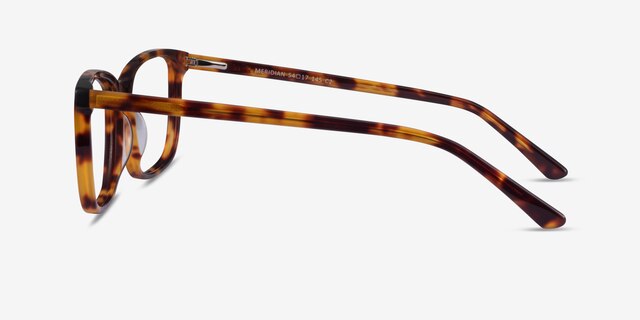 Meridian Tortoise AcetateEyeglass Frames from EyeBuyDirect, Side View