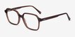 Bucolic Clear Brown Alternative MaterialsEyeglass Frames from EyeBuyDirect, Angle View