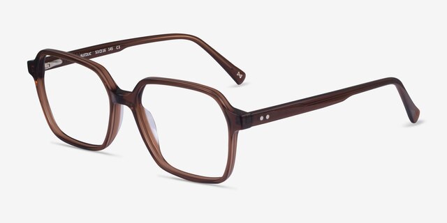 Bucolic Clear Brown AcetateEyeglass Frames from EyeBuyDirect, Angle View