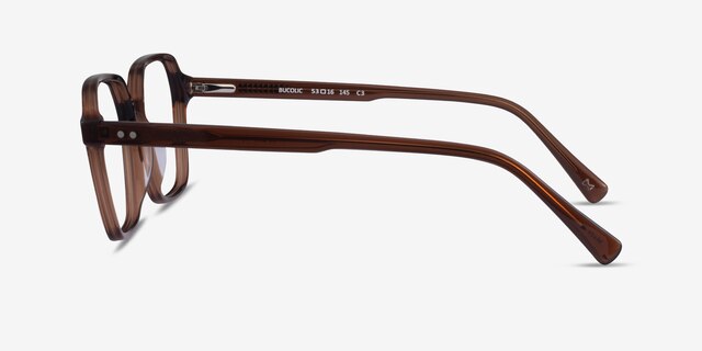 Bucolic Clear Brown AcetateEyeglass Frames from EyeBuyDirect, Side View