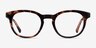 Hoop Tortoise Gold AcetateEyeglass Frames from EyeBuyDirect, Front View