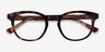 Hoop Tortoise Gold AcetateEyeglass Frames from EyeBuyDirect, Closed View