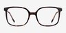 Orient Tortoise AcetateEyeglass Frames from EyeBuyDirect, Front View