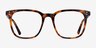 Boreal Tortoise AcetateEyeglass Frames from EyeBuyDirect, Front View