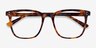 Boreal Tortoise AcetateEyeglass Frames from EyeBuyDirect, Closed View