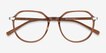 Niagara Clear Brown AcetateEyeglass Frames from EyeBuyDirect, Closed View